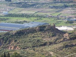 Castillo de Pliego 2009
